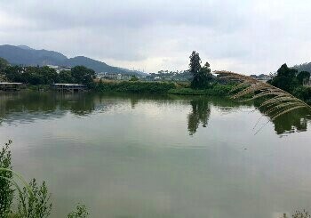 天乐休闲垂钓园