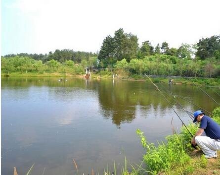 方庄垂钓中心