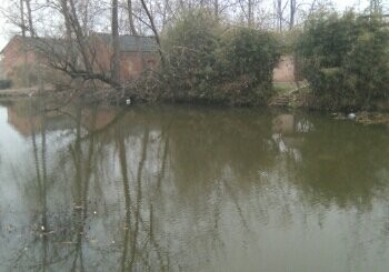 野生鱼休闲垂钓中心