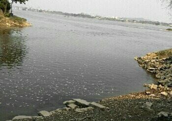 闽江大樟溪南港