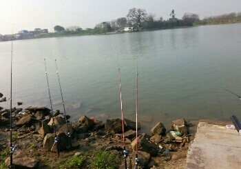 勒流西堤路锦丰段