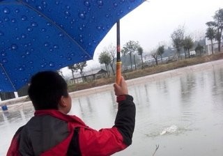 旭和花卉苗木公司