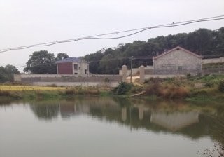 中新农业科技公司