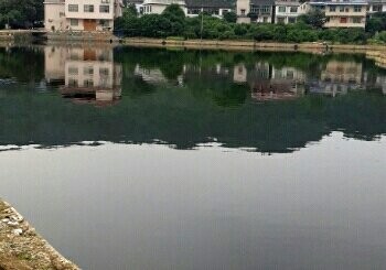 李私塘釣鱼中心