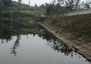 野猫荡水库