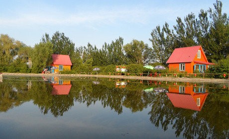 沙西特色鱼垂钓基地