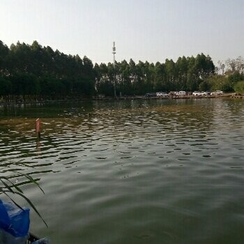 白鹭湾生态鱼塘