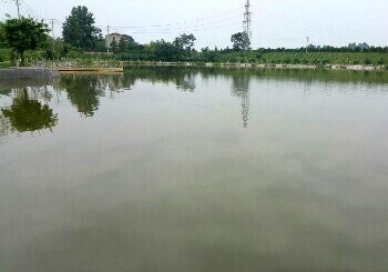 张大公馆钓鱼场