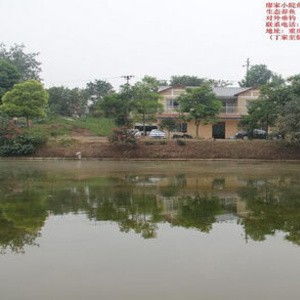 廖家小院鱼塘