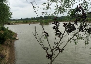 高老庄生态垂钓中心