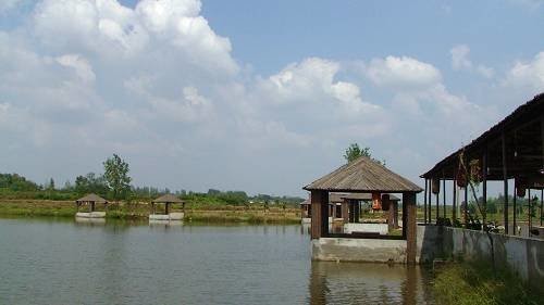 尹家咀渔村农家乐