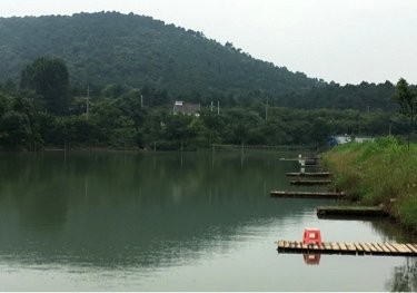 洪山门垂钓中心