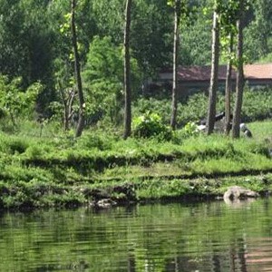 线岭沟水库