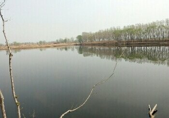 石佛昝窑地水库