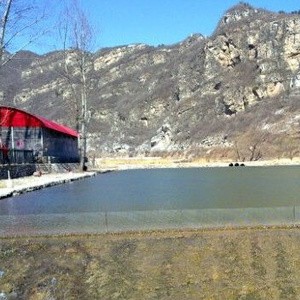 渡河荣库垂钓园