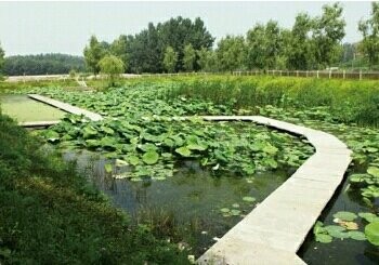 清水河朱家湾村段