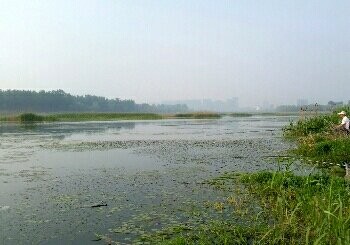 潮白河顺义减河段