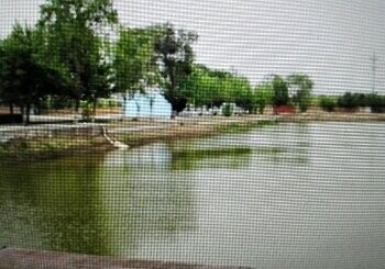 龙王头鱼乐农庄