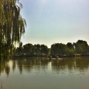 玉桥村居垂钓园