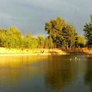 杨秀店渔乐庄园