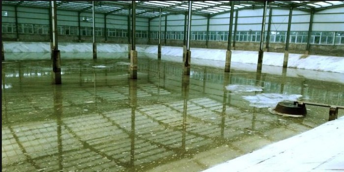 北泗大棚（原渔乐大棚）