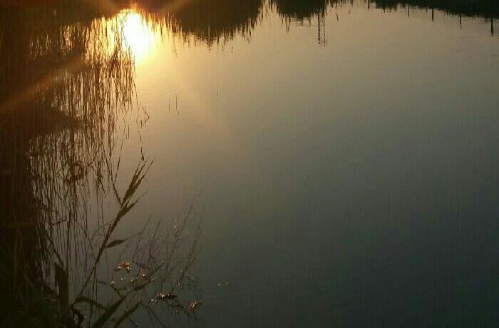 保定北二环北堤