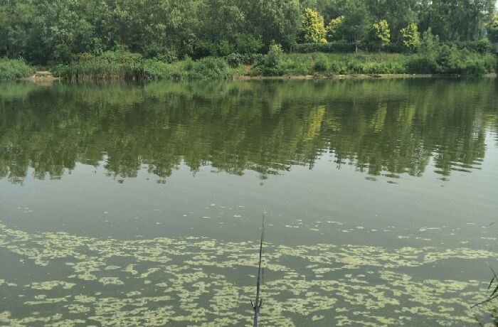蒲河静安村钓点