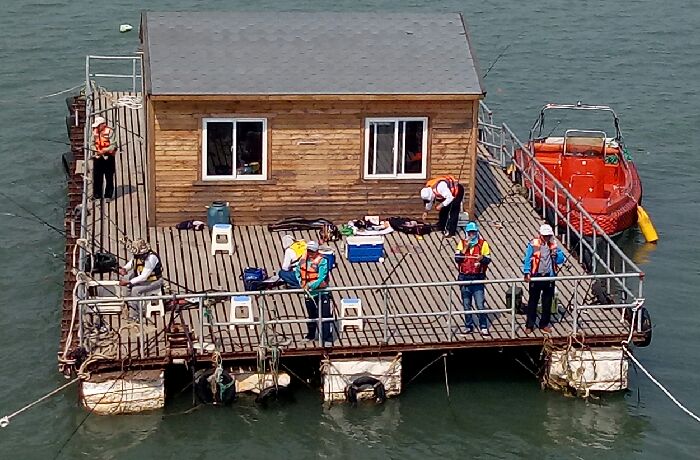 连理岛龙栖小镇业主专用钓场