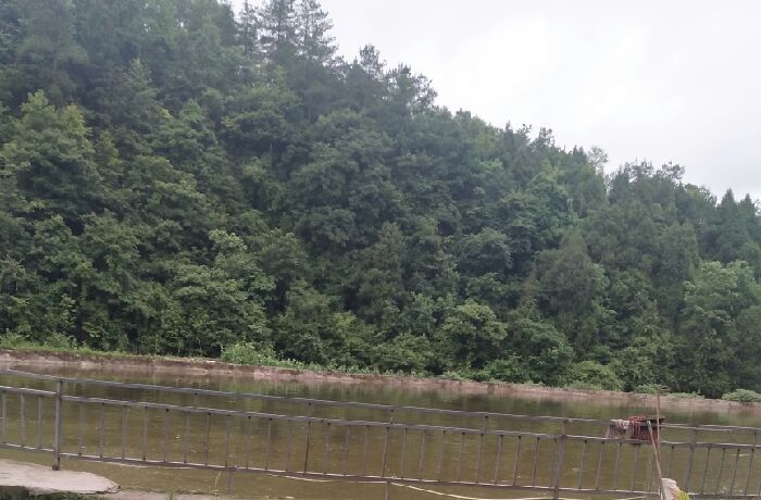 三岔河生态鱼塘