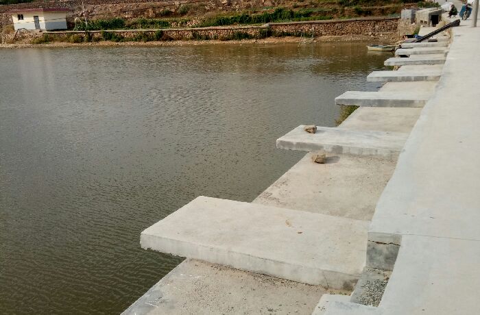 文和园淡水钓场