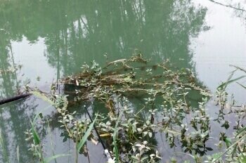 符溪鞋厂后面至高速路口段