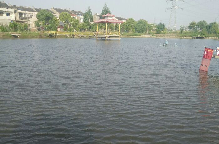 龙腾休闲垂钓中心