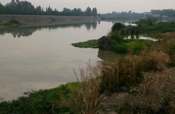 青白江新民河段