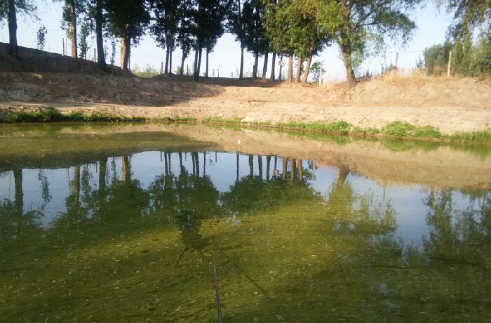 梨园东信号塔南