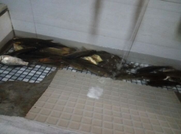 台湾农民创业园