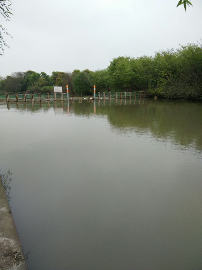 免费大钓场，欢迎大家有空常来钓钓。