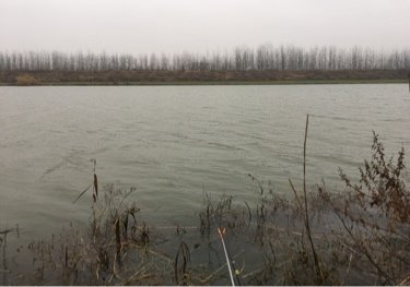 徐洪河三岔河段