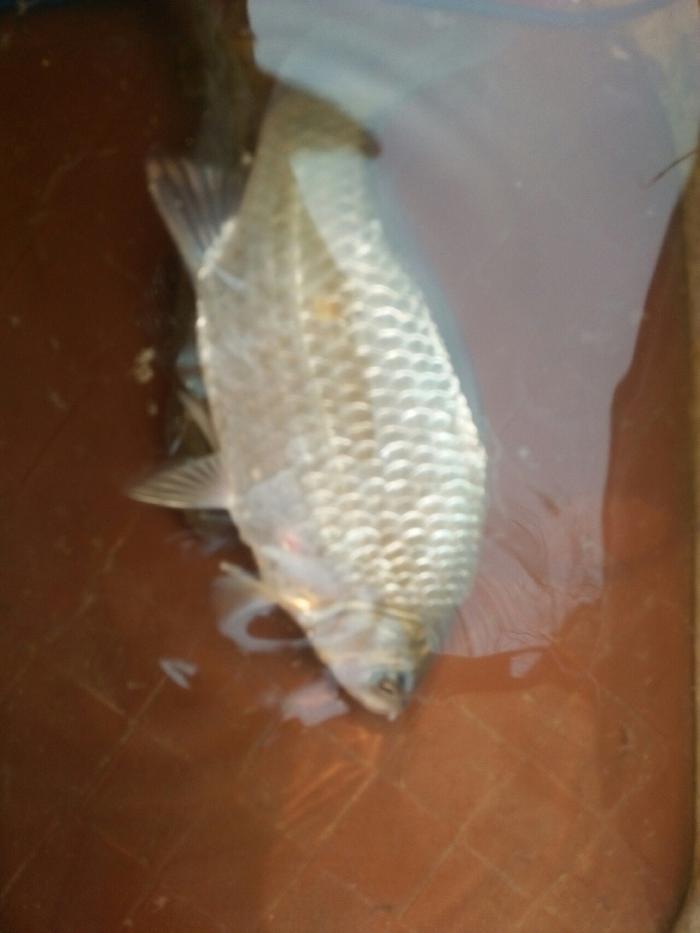 九龙洞石门水库