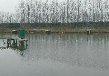 生态休闲垂钓中心