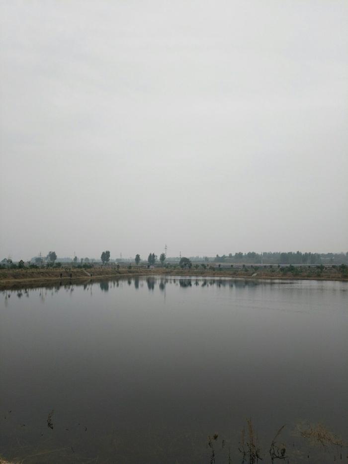 丹水明珠垂钓园