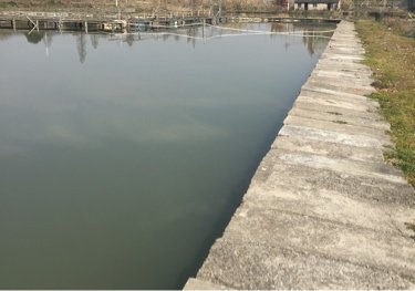 黄沙湖垂钓中心