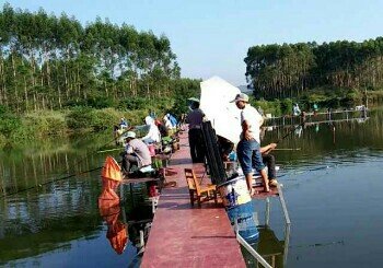 合山江村钓鱼场