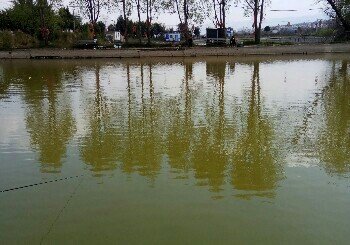 鱼窝子休闲鱼庄