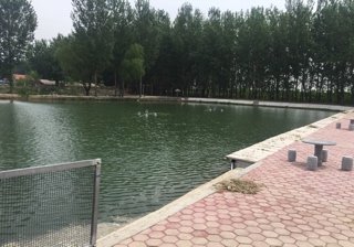 宝鱼庄垂钓园