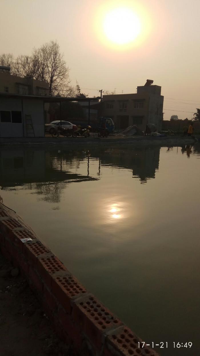 好友垂钓休闲庄