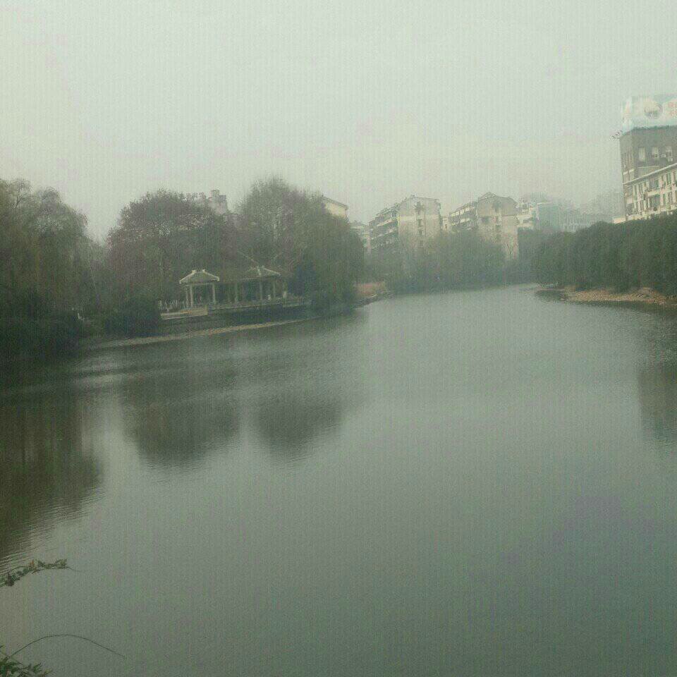 市中心南湖公园