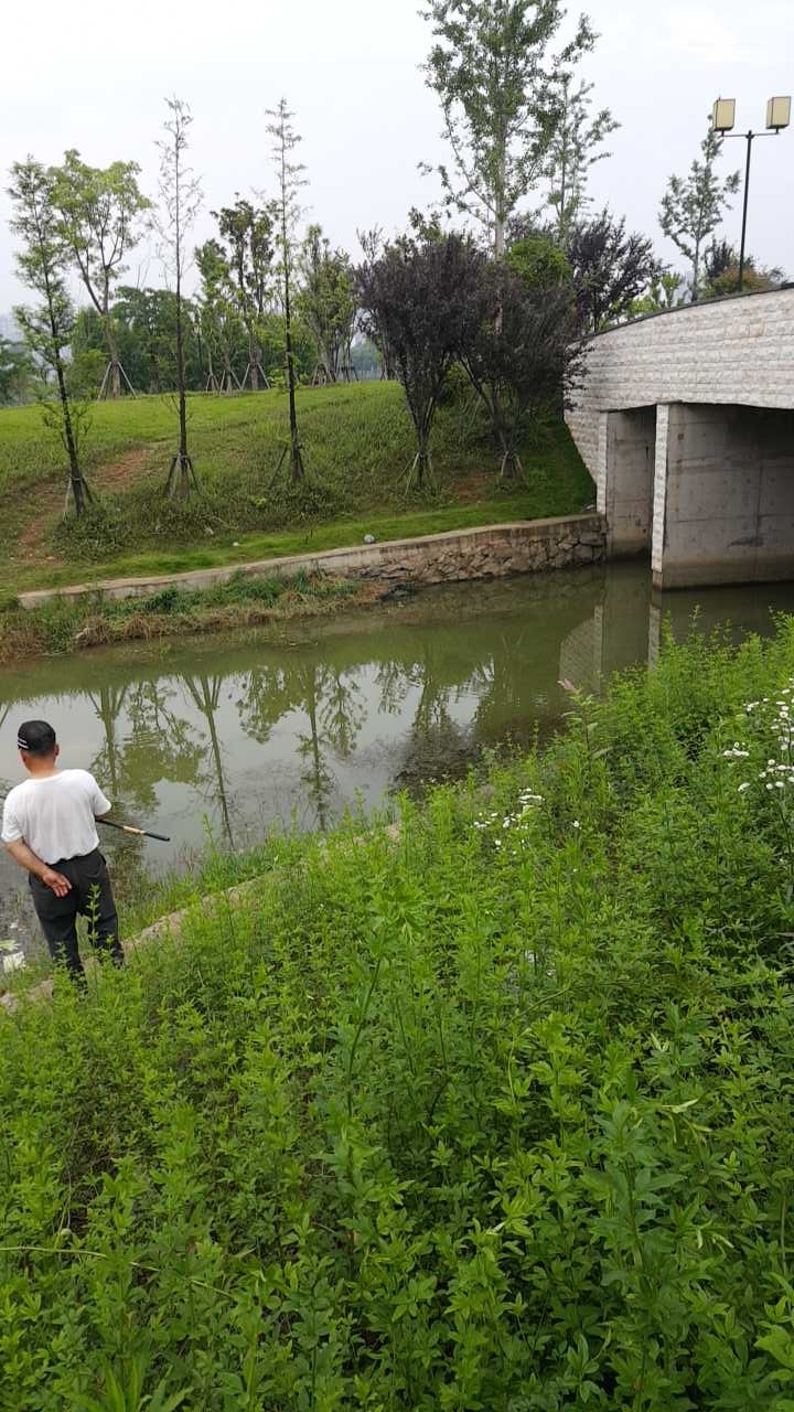 象湖湿地公园