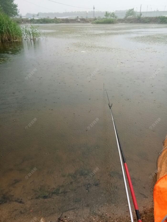 這雨，說下就下，幸虧今天帶傘了。