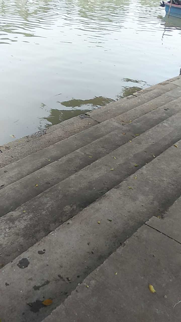 马沥村村委门前