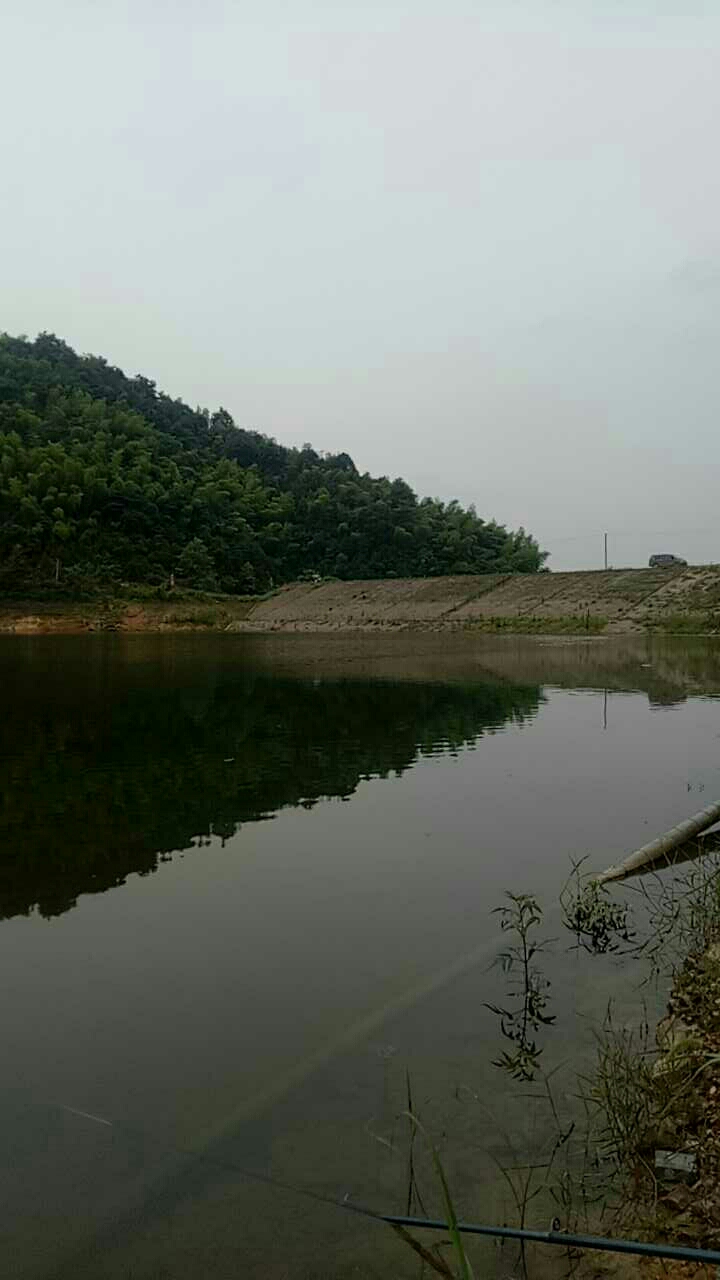 益阳洞山坝水库_洞山坝水库地址和电话信息 好钓鱼